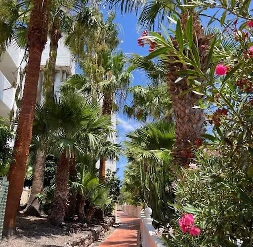 En Amarilla Golf * San Miguel de Abona